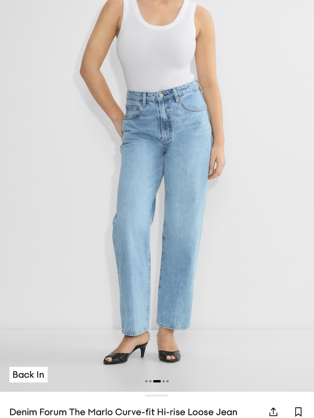 Aritzia Denim Forum Marlo Curve Fit Hi-rise Loose Jean